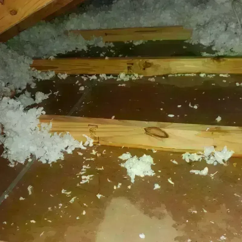 Attic Water Damage in Holyoke, MA